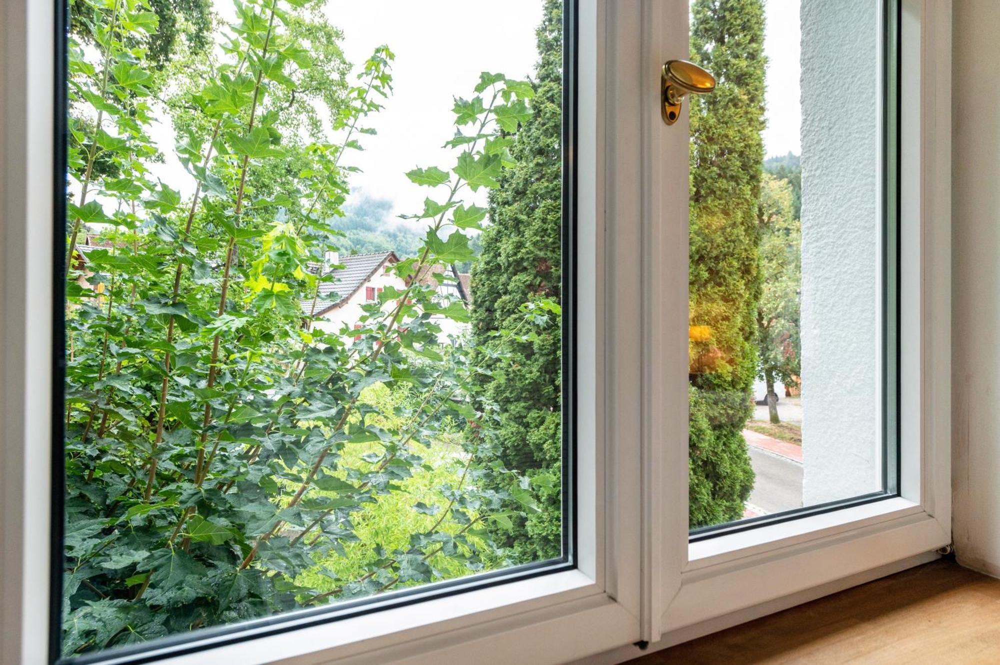 Appartement Waldhorn Badenweiler Zewnętrze zdjęcie