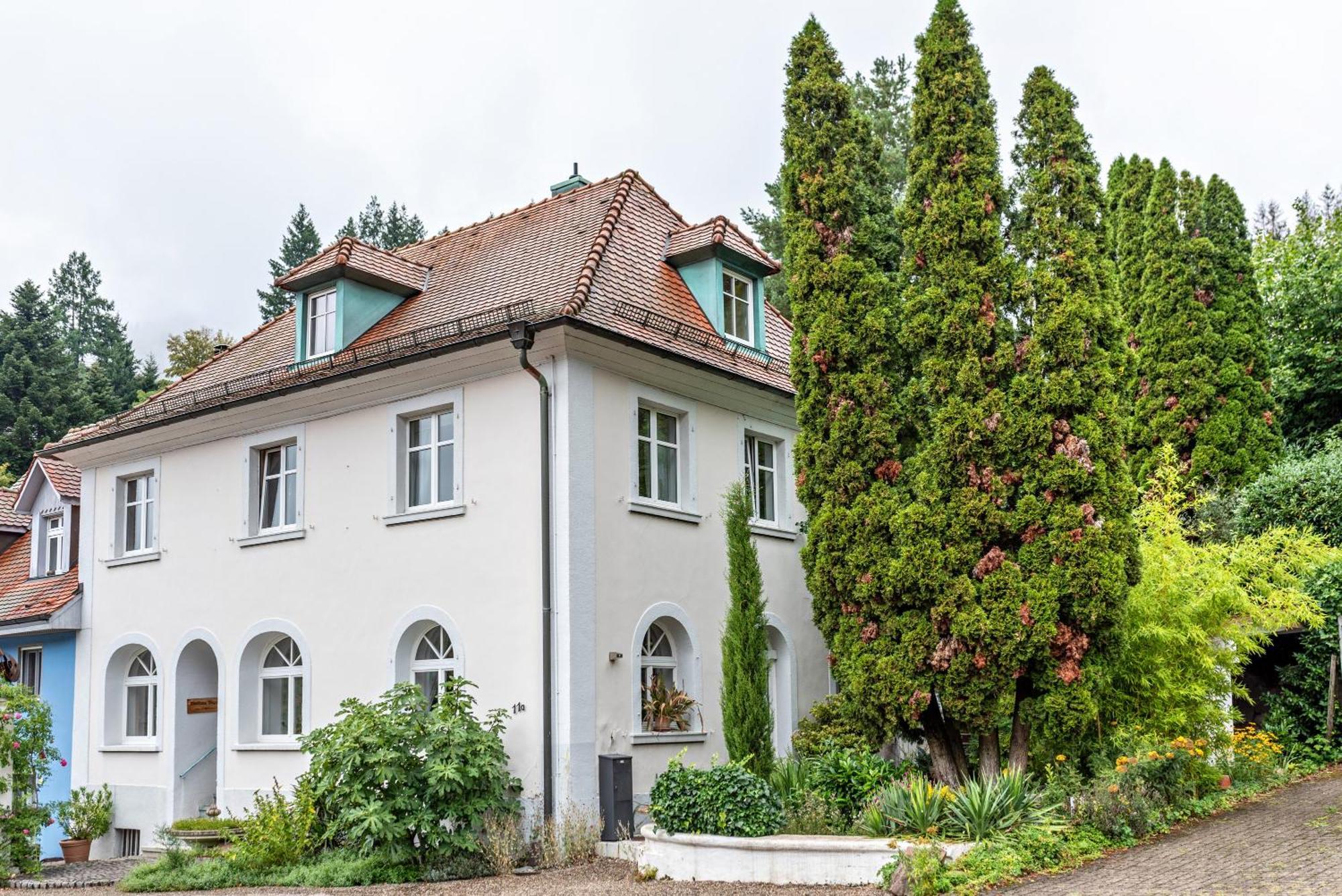 Appartement Waldhorn Badenweiler Zewnętrze zdjęcie
